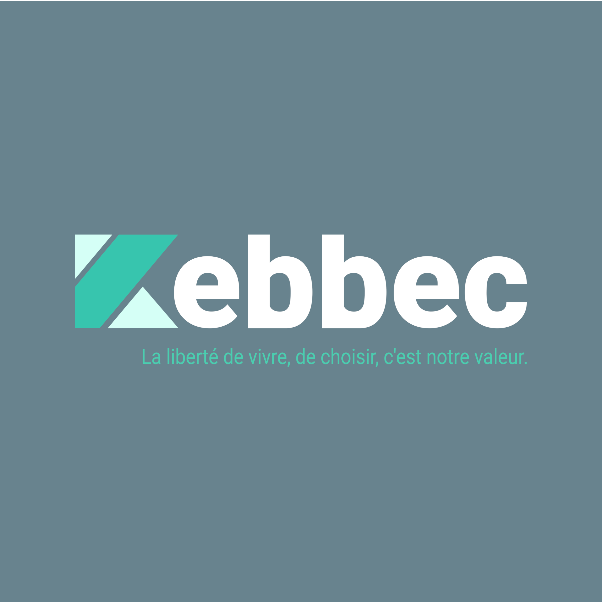 Création Boutique e-commerce et logo